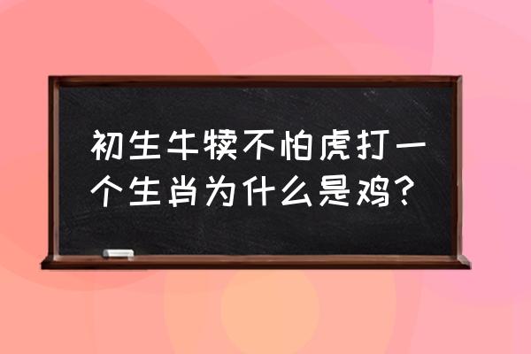 初生牛犊不怕虎打一个生肖 初生牛犊不怕虎打一个生肖为什么是鸡？