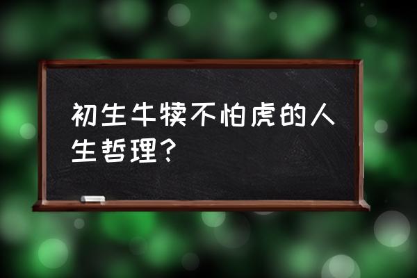 初生牛犊不怕虎说明了什么 初生牛犊不怕虎的人生哲理？