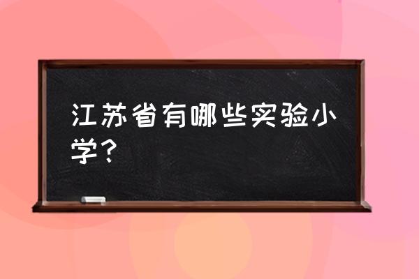 游府西街小学本部 江苏省有哪些实验小学？