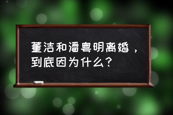 董洁潘粤明为什么离 董洁和潘粤明离婚，到底因为什么？