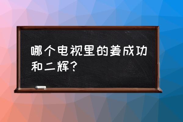 玫瑰炒肉丝好看吗 哪个电视里的姜成功和二辉？