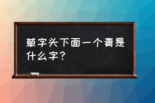 草字头下面一个青 草字头下面一个青是什么字？