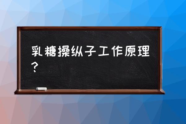 乳糖操纵子工作原理 乳糖操纵子工作原理？