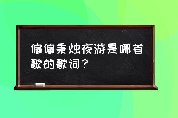 只为与你相遇 偏偏秉烛夜游是哪首歌的歌词？