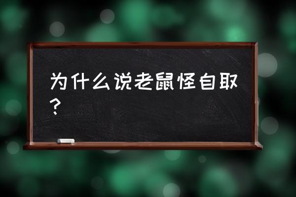 咎由自取打一动物 为什么说老鼠怪自取？