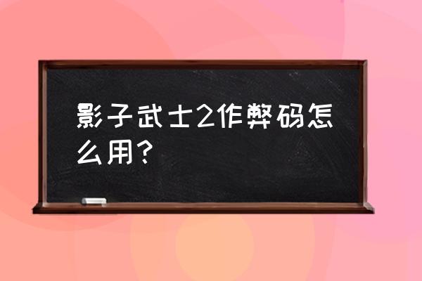 影子武士2作弊码 影子武士2作弊码怎么用？