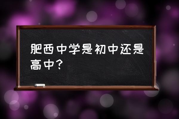 肥西三中比较好的老师 肥西中学是初中还是高中？