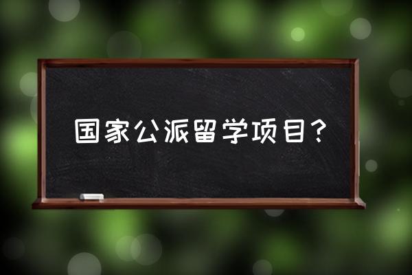 留学基金委简介 国家公派留学项目？