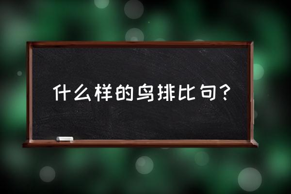 鸟是树的花朵是什么句 什么样的鸟排比句？