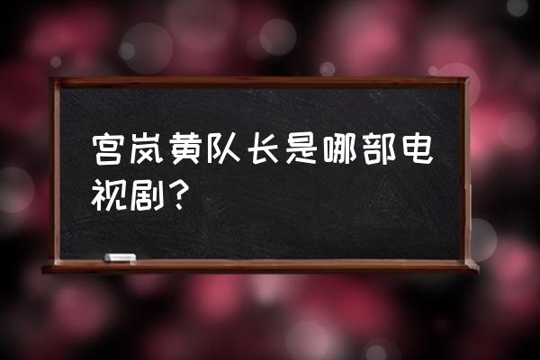 大水井风云28免费看 宫岚黄队长是哪部电视剧？