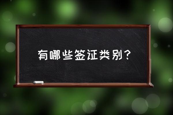 签证分为哪几种类型 有哪些签证类别？