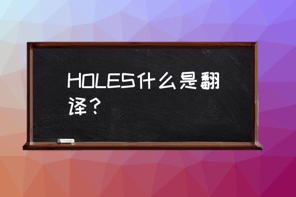 holes是什么意思 HOLES什么是翻译？