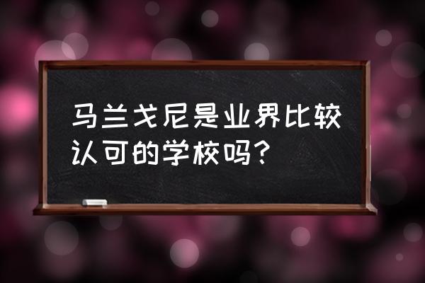 马兰戈尼力 马兰戈尼是业界比较认可的学校吗？