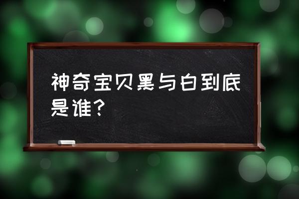 神奇宝贝黑白人物 神奇宝贝黑与白到底是谁？