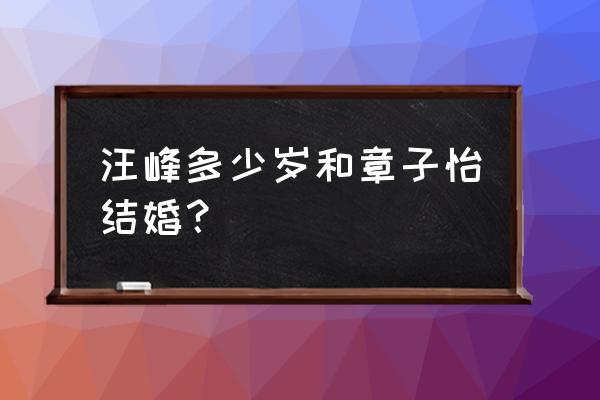 章子怡汪峰婚礼 汪峰多少岁和章子怡结婚？