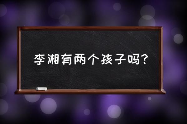 李湘有二胎吗 李湘有两个孩子吗？