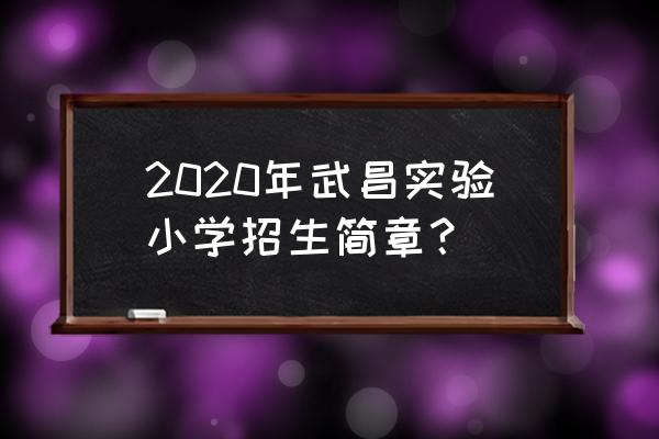 武昌实验中学教师名单 2020年武昌实验小学招生简章？