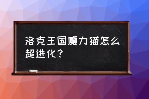 魔力猫怎么进化成武斗酷猫 洛克王国魔力猫怎么超进化？