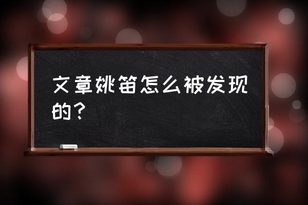 文章和姚笛到什么程度 文章姚笛怎么被发现的？