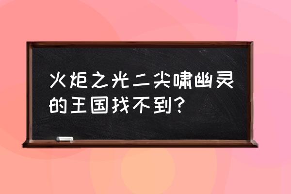 火炬之光2机器人的碎片 火炬之光二尖啸幽灵的王国找不到？