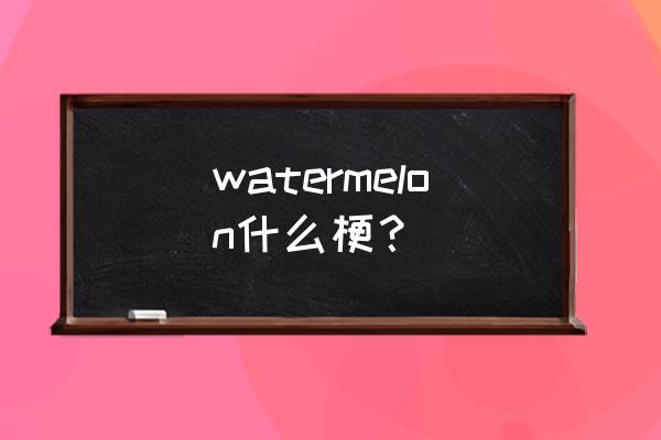 watermelon什么意思中文 watermelon什么梗？