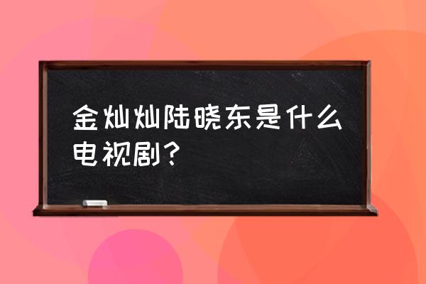 二胎时代演员表介绍 金灿灿陆晓东是什么电视剧？