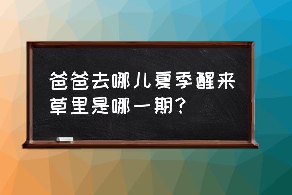 爸爸去哪儿夏天是第几季 爸爸去哪儿夏季醒来草里是哪一期？