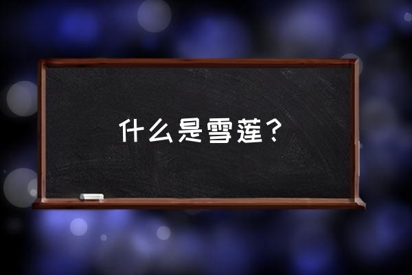 冰山上的雪莲比喻什么 什么是雪莲？