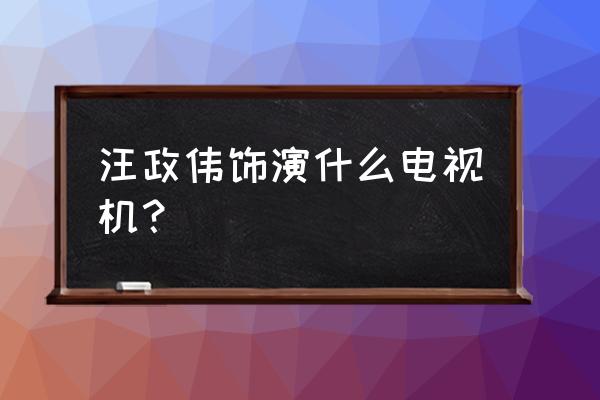 美丽风暴美丽99 汪政伟饰演什么电视机？