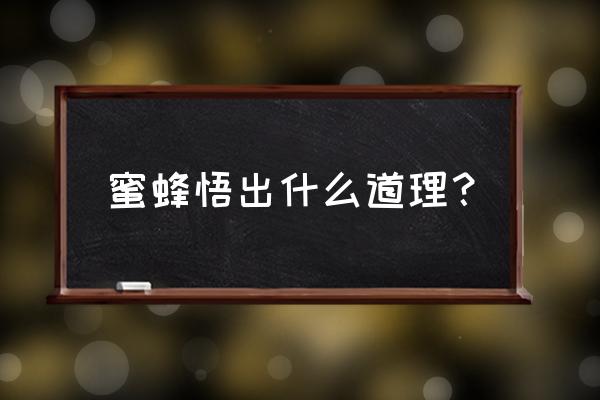 蜜蜂总动员道理 蜜蜂悟出什么道理？