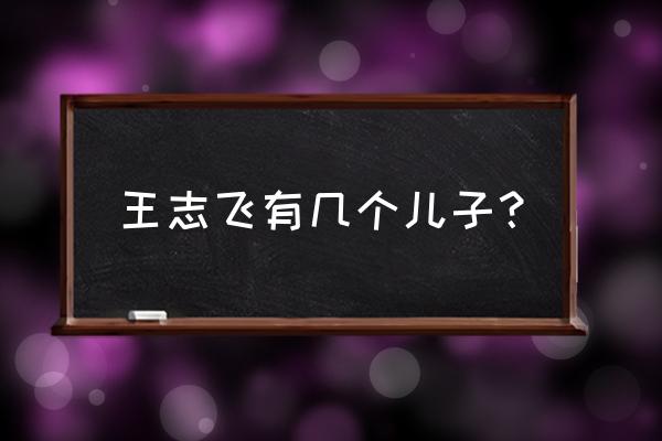 王志飞张定涵王也 王志飞有几个儿子？