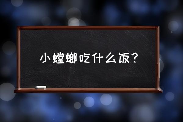 螳螂吃什么菜 小螳螂吃什么饭？