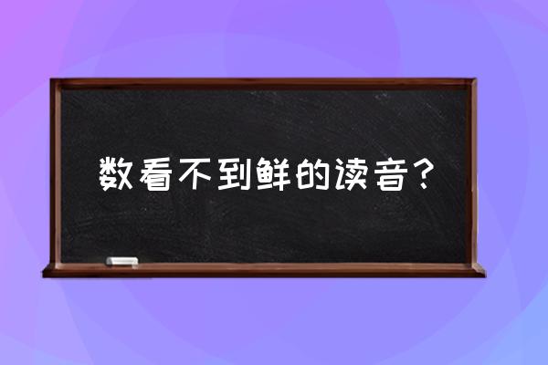 数见不鲜是什么意思 数看不到鲜的读音？