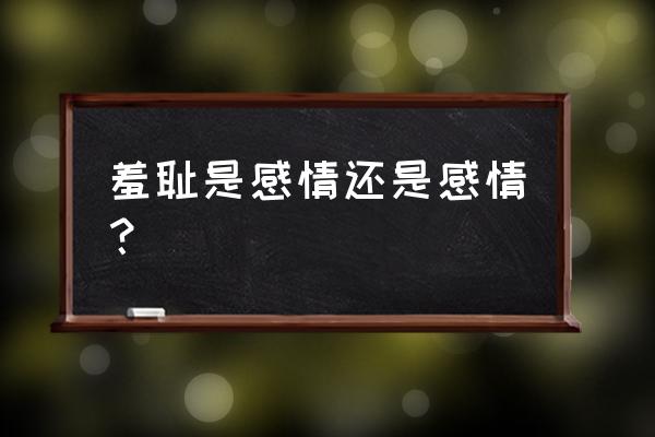 羞愧的解释 羞耻是感情还是感情？