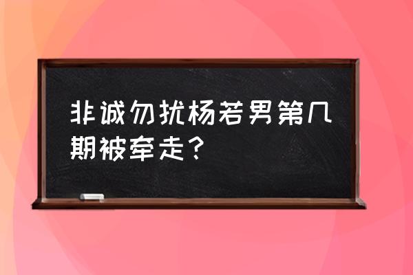 非诚勿扰杨若男 非诚勿扰杨若男第几期被牵走？