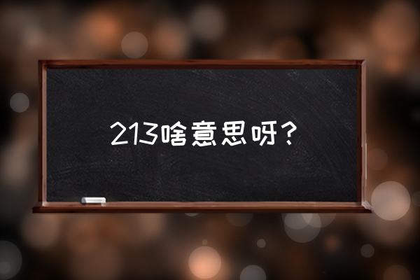 213代表什么意思 213啥意思呀？