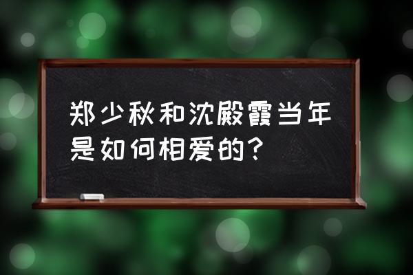 沈殿霞采访郑少秋 郑少秋和沈殿霞当年是如何相爱的？