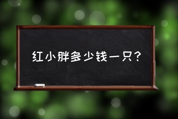 红小胖多少钱一只？ 红小胖多少钱一只？