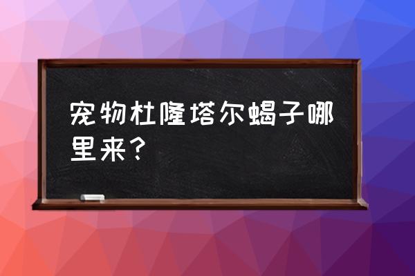 宠物杜隆塔尔蝎子哪里来？ 宠物杜隆塔尔蝎子哪里来？