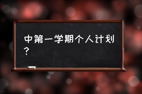 个人学期计划 中第一学期个人计划？