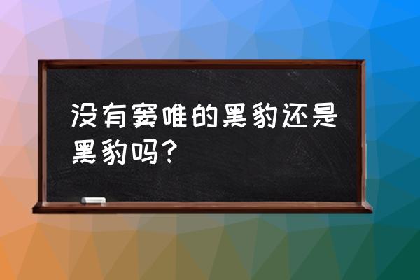 黑豹乐队窦唯和张琪 没有窦唯的黑豹还是黑豹吗？