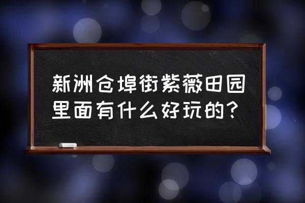 紫薇都市田园好玩吗 新洲仓埠街紫薇田园里面有什么好玩的？