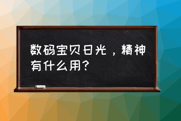 数码宝贝日光神秘密码 数码宝贝日光，精神有什么用？