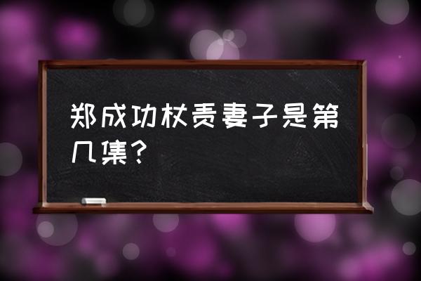 大英雄郑成功那里可以看 郑成功杖责妻子是第几集？