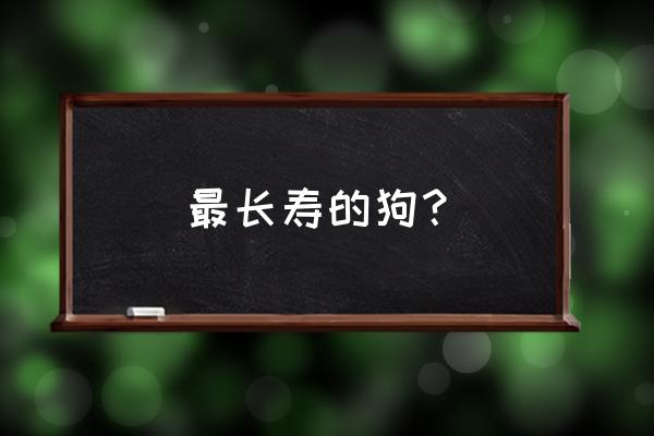 寿命最长的狗是什么狗 最长寿的狗？