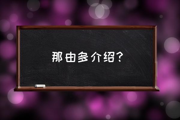 那由多之轨迹日版 那由多介绍？