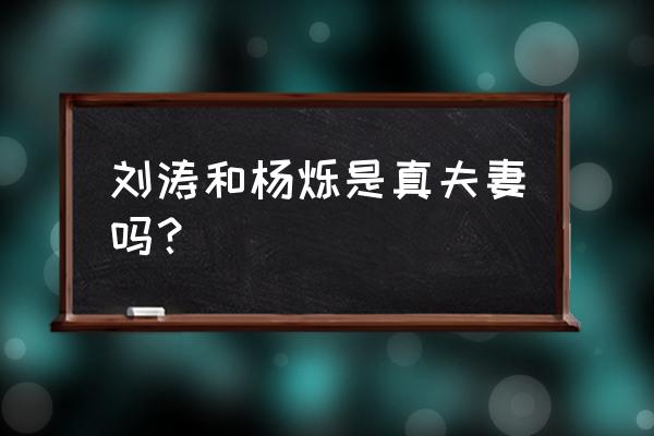 刘涛老公叫什么名字 刘涛和杨烁是真夫妻吗？