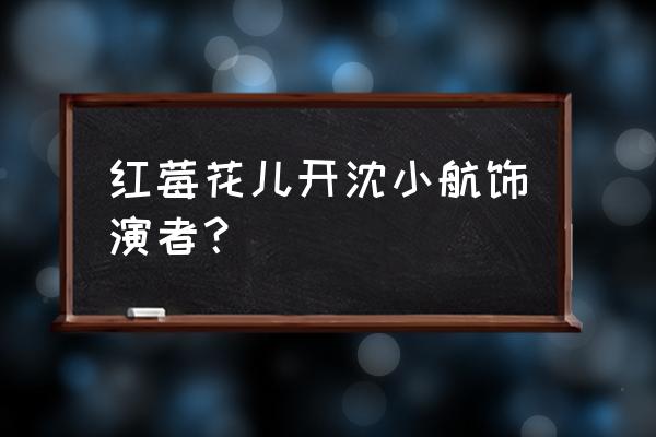 《红莓花儿开》 红莓花儿开沈小航饰演者？