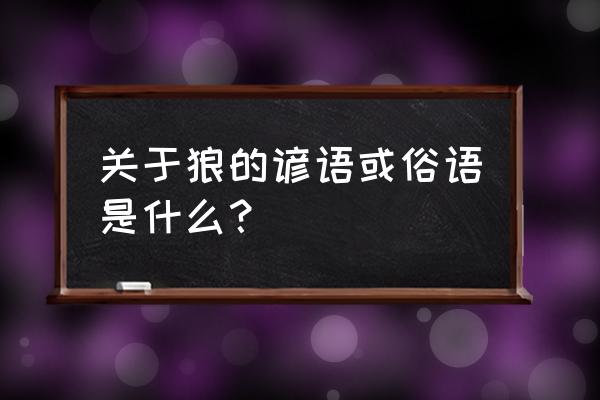 关于狼的谚语有哪些 关于狼的谚语或俗语是什么？