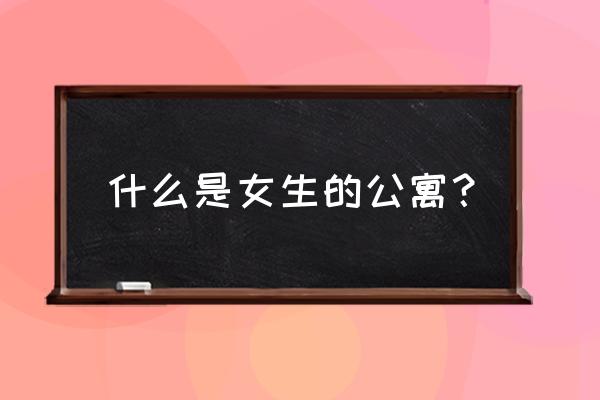 女人的公寓 什么是女生的公寓？